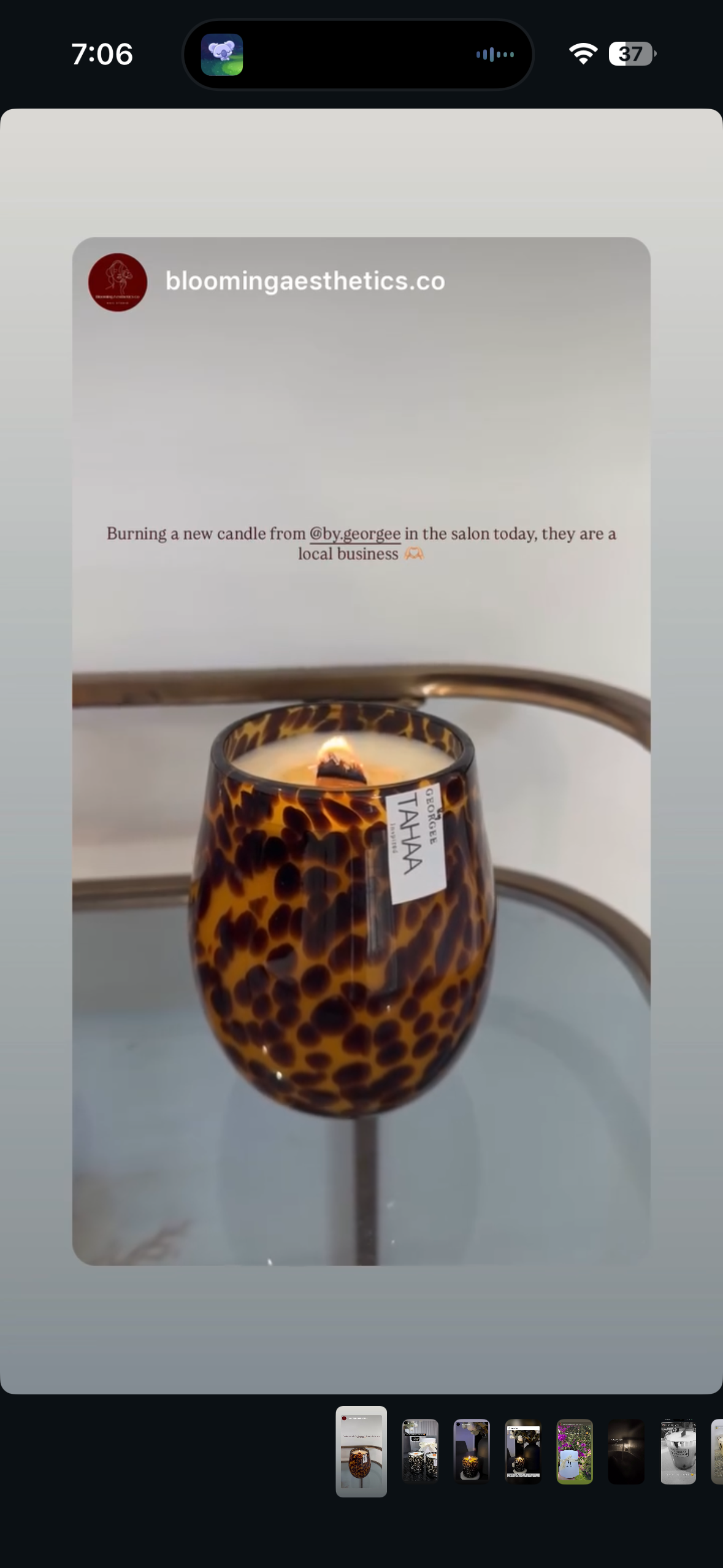 VINTAGE Tortoiseshell M