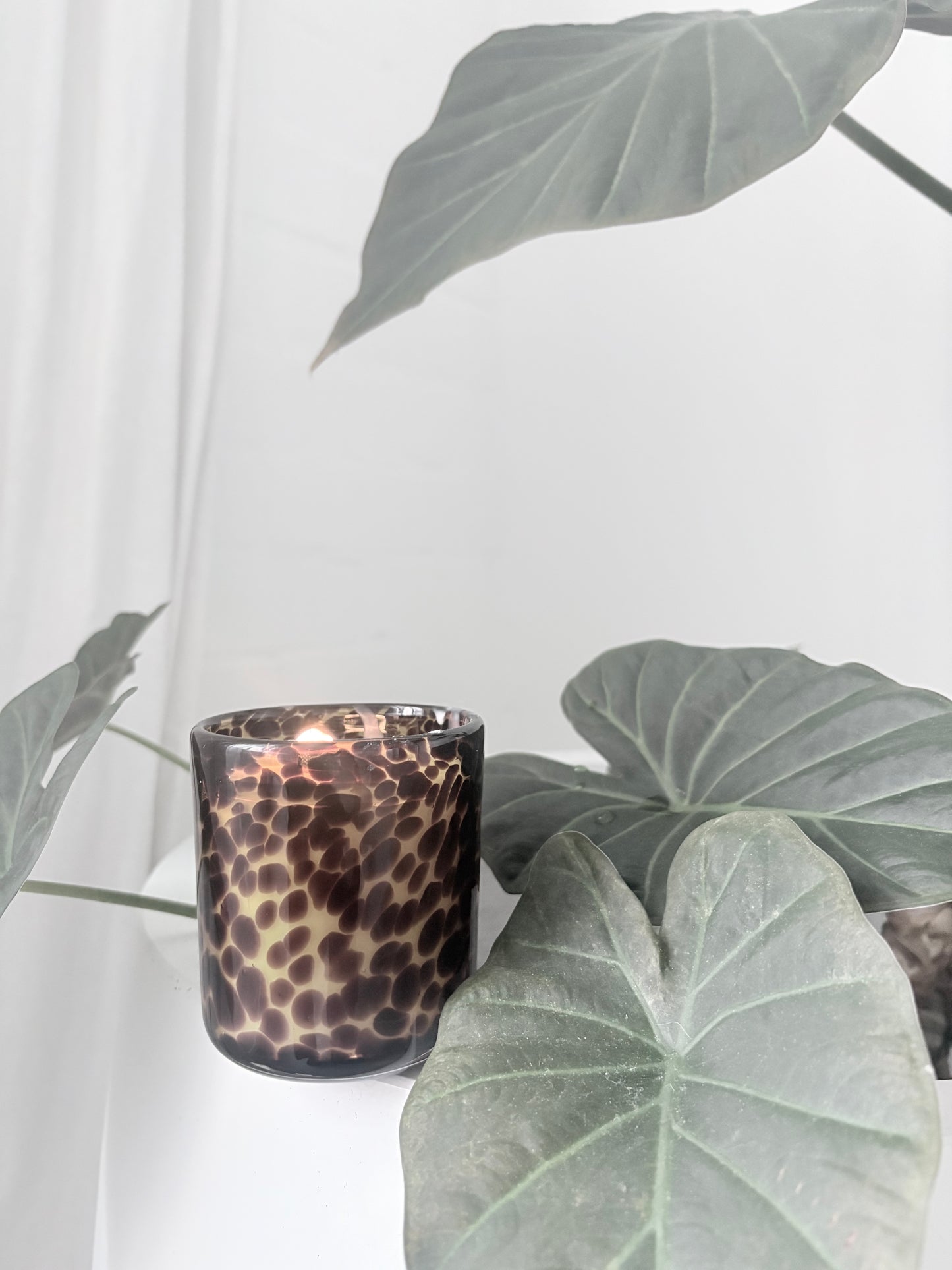 CHEETAH VOGUE L