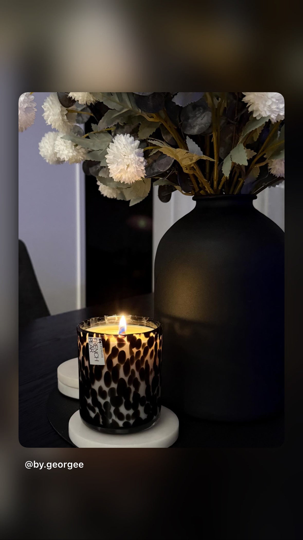 CHEETAH VOGUE L