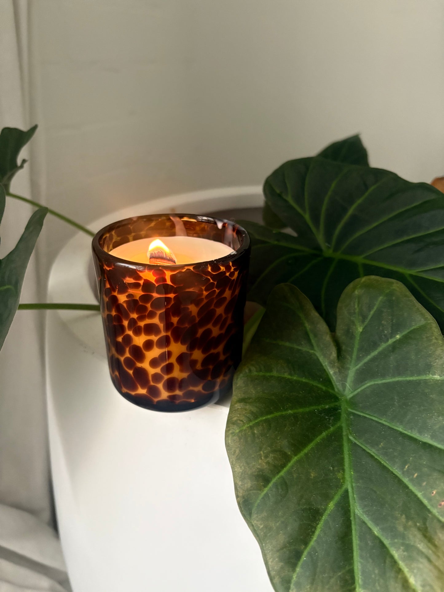 Tortoiseshell
 VOGUE L