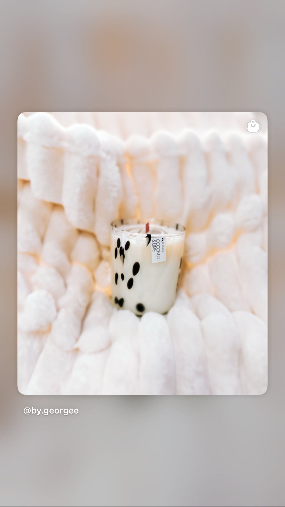 DALMATION VOGUE L